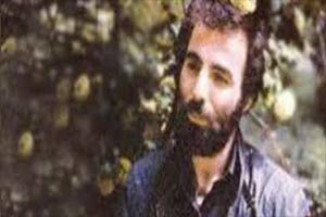 زندگی نامه سلمان هراتی زندگی نامه سلمان هراتی