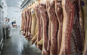 قیمت گوشت نزولی می شود